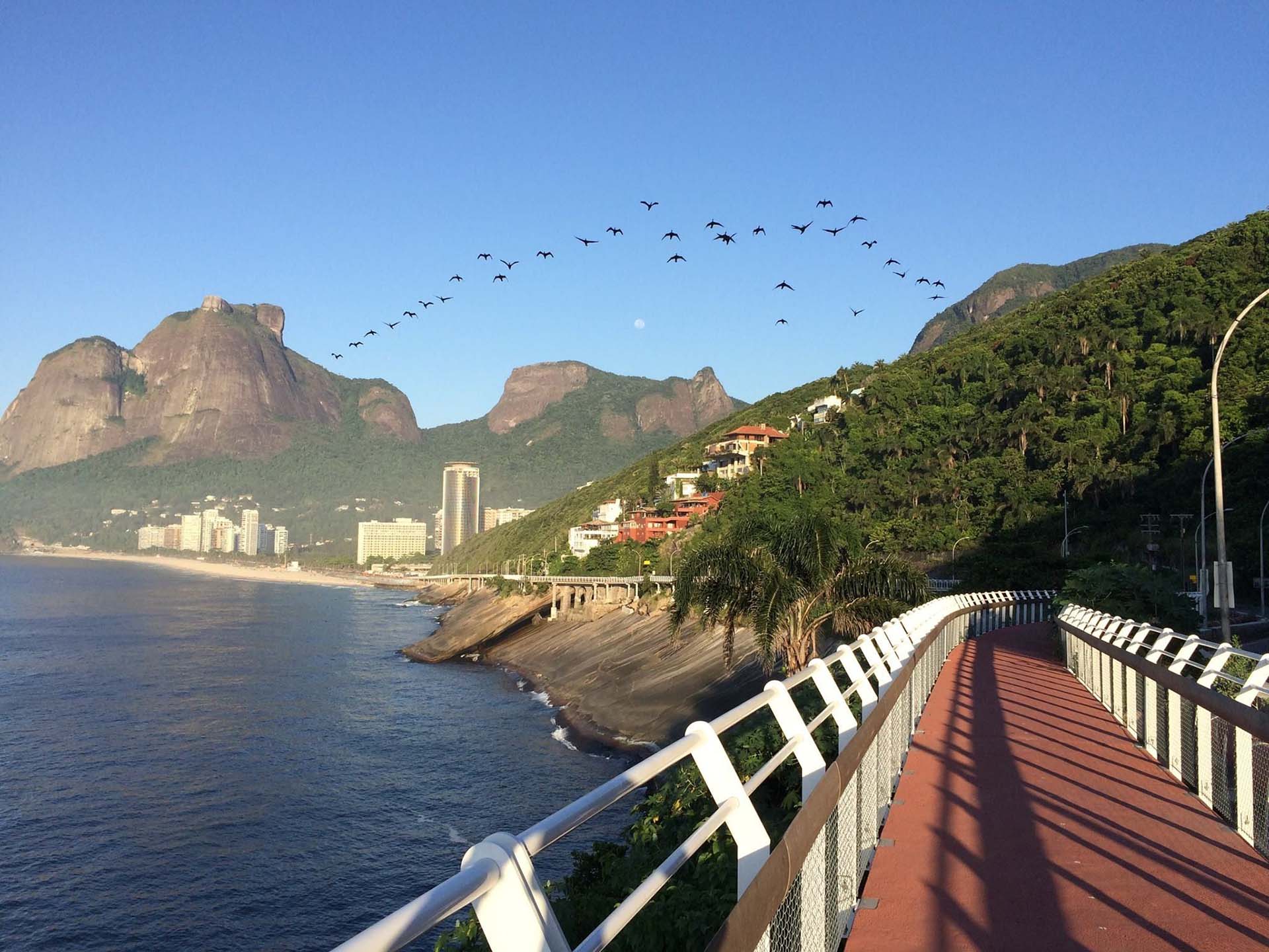 Fabricação, fornecimento e montagem de estruturas metálicas para a construção.